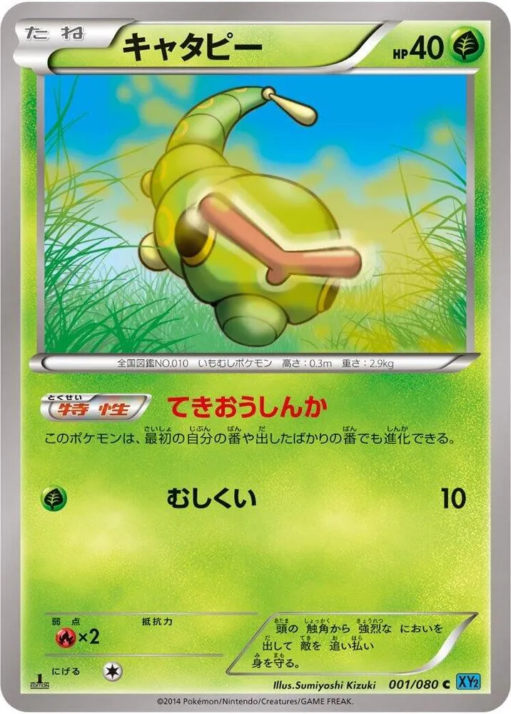 Front of Caterpie 1, ワイルドブレイズ Japanese