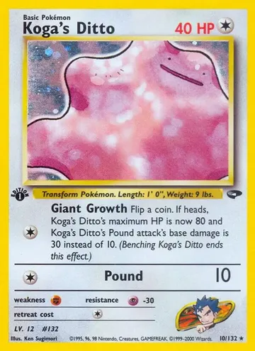 Koga's Ditto 10 $76.18