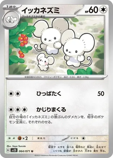 イッカネズミ 64 ₩603