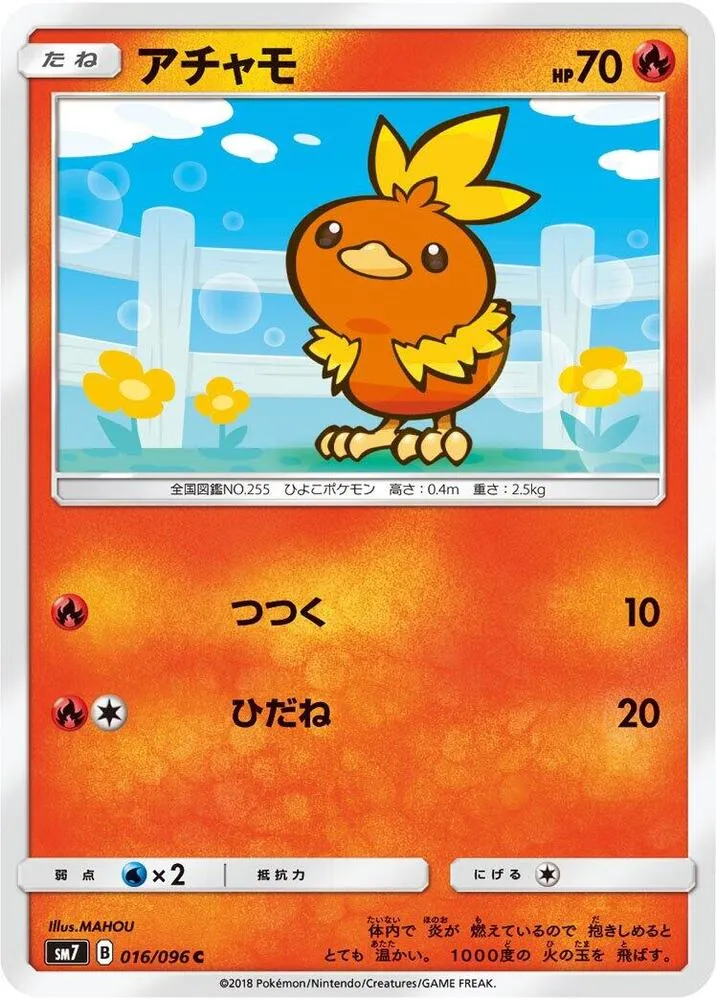 Front of Torchic 16, 裂空のカリスマ Japanese