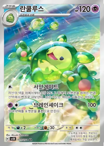 란쿨루스 75 $1.38