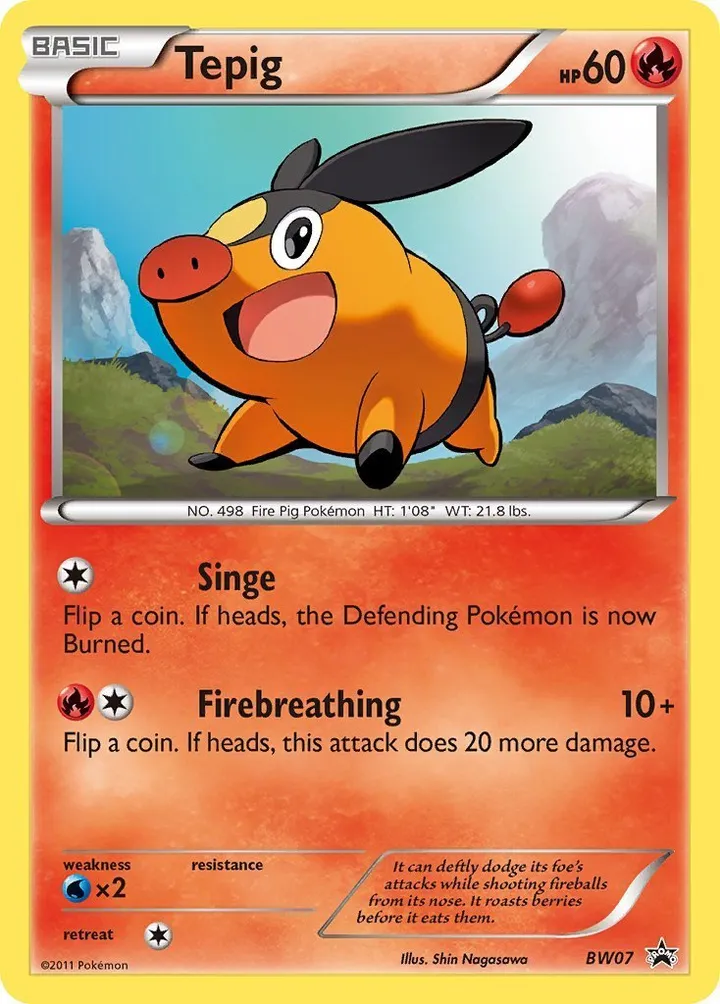 BW Black Star Promos 英語版 Tepig BW07 カード表面