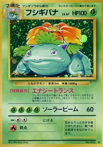 Venusaur 11