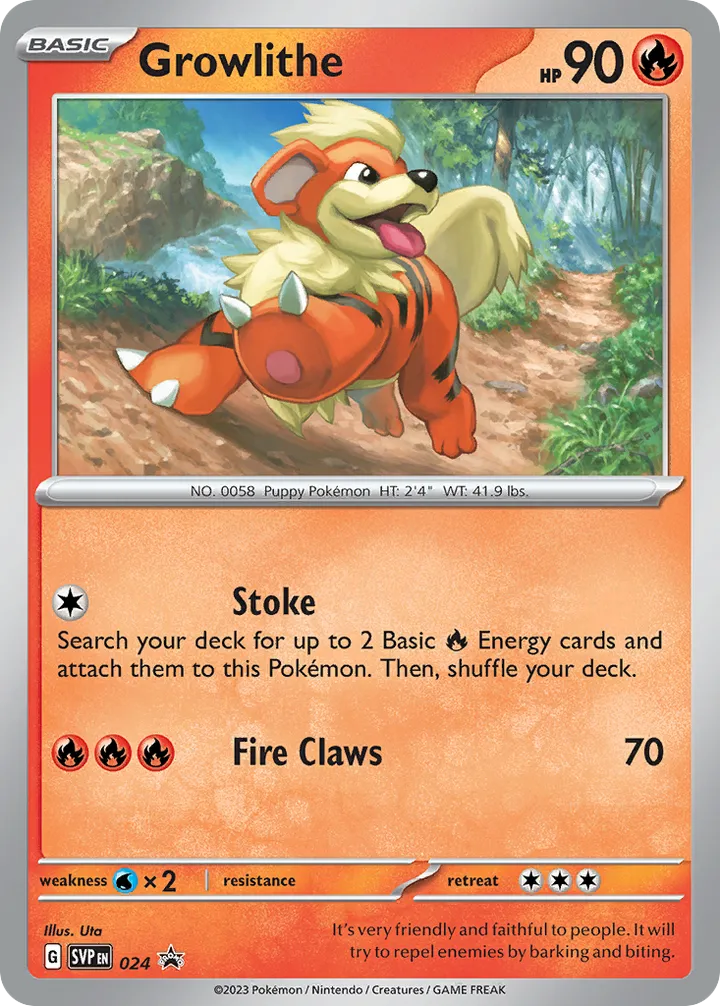 SVP Black Star Promos 英語版 Growlithe 24 カード表面