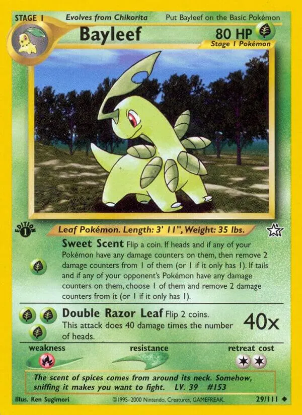 Neo Genesis 영어판 Bayleef 29 카드 앞면