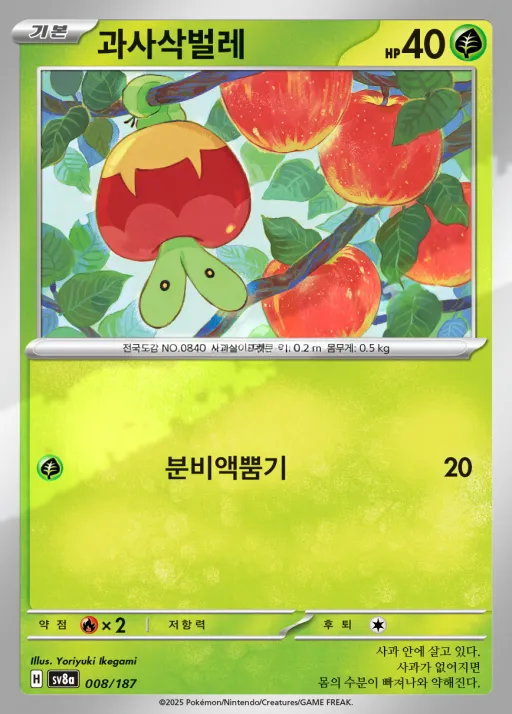 테라스탈 페스타 ex 韓国語版 과사삭벌레 8 カード表面