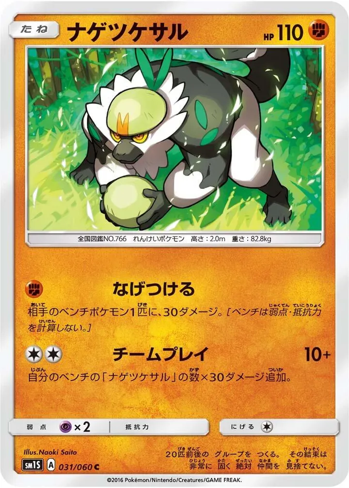 Front of Passimian 31, コレクション サン Japanese