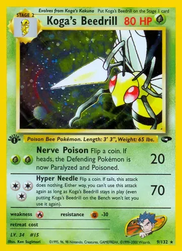 Koga's Beedrill 9 ₩52,292