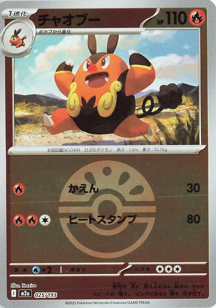 Front of Pignite (Friend Ball Pattern) 25, MEGAドリームex Japanese