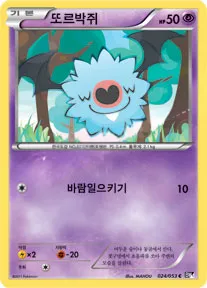 Front of 또르박쥐 24, 블랙 컬렉션 Korean