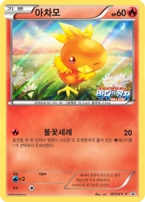 XY 프로모 카드 韓国語版 아차모 71 カード表面