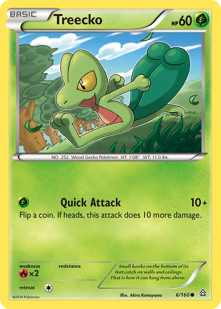 XY—Primal Clash 영어판 Treecko 6 카드 앞면