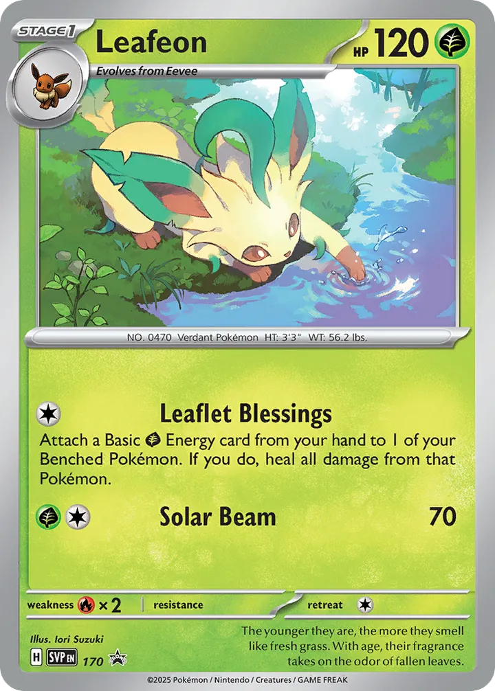 SVP Black Star Promos 영어판 Leafeon 170 카드 앞면