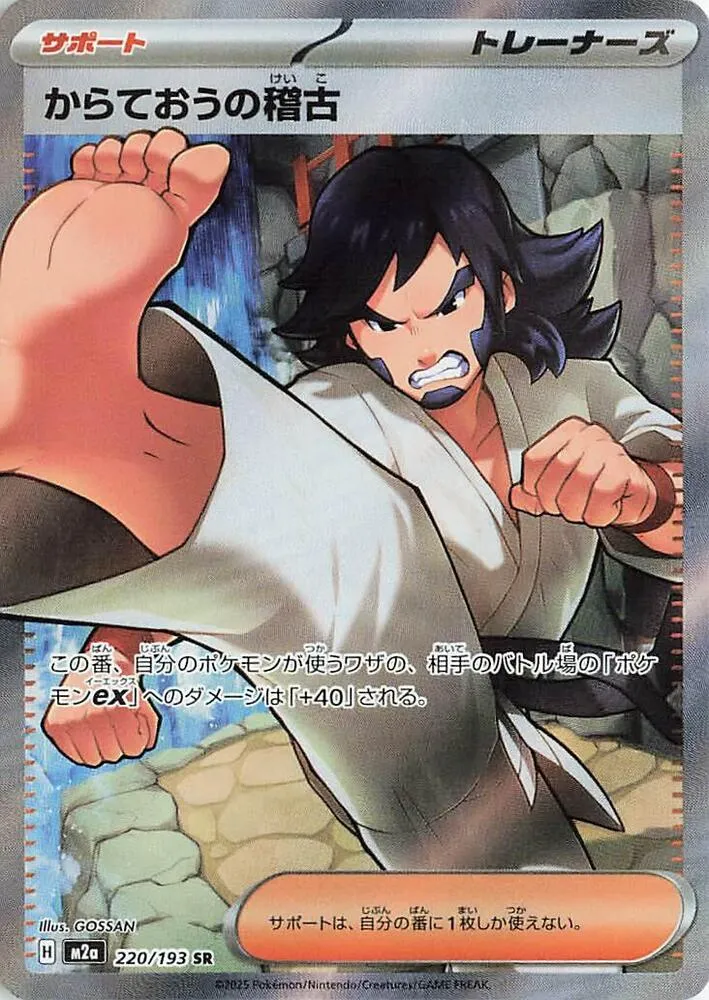 Front of Black Belt's Training 220, MEGAドリームex Japanese