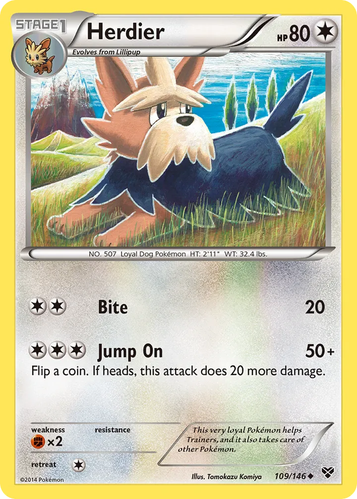 XY 영어판 Herdier 109 카드 앞면