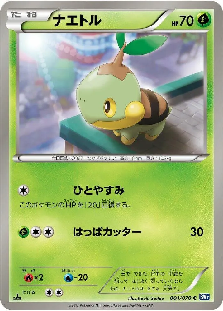Front of Turtwig 1, プラズマゲイル Japanese