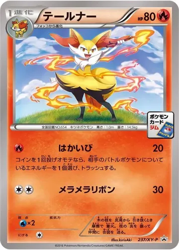 テールナー 237 ₩10,724