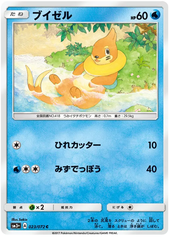 Front of Buizel 23, ひかる伝説 Japanese