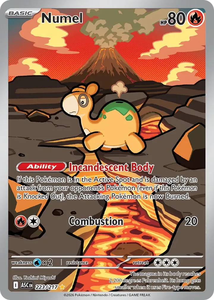 Mega Evolution—Ascended Heroes 英語版 Numel 223 カード表面