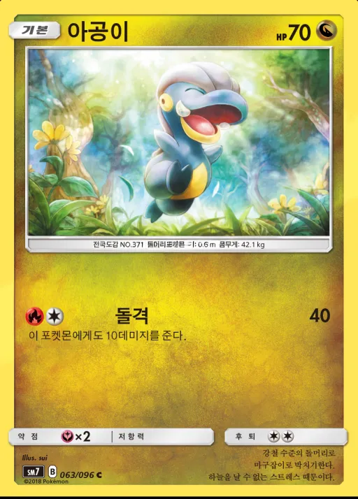창공의 카리스마 韓国語版 아공이 63 カード表面