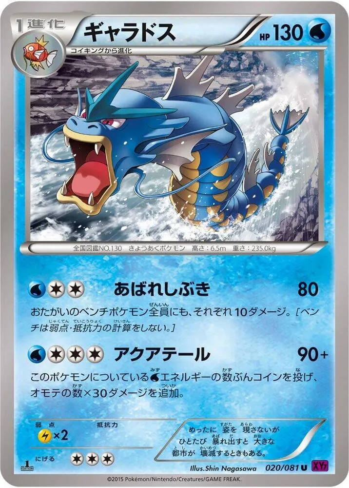 Front of Gyarados 20, バンデットリング Japanese