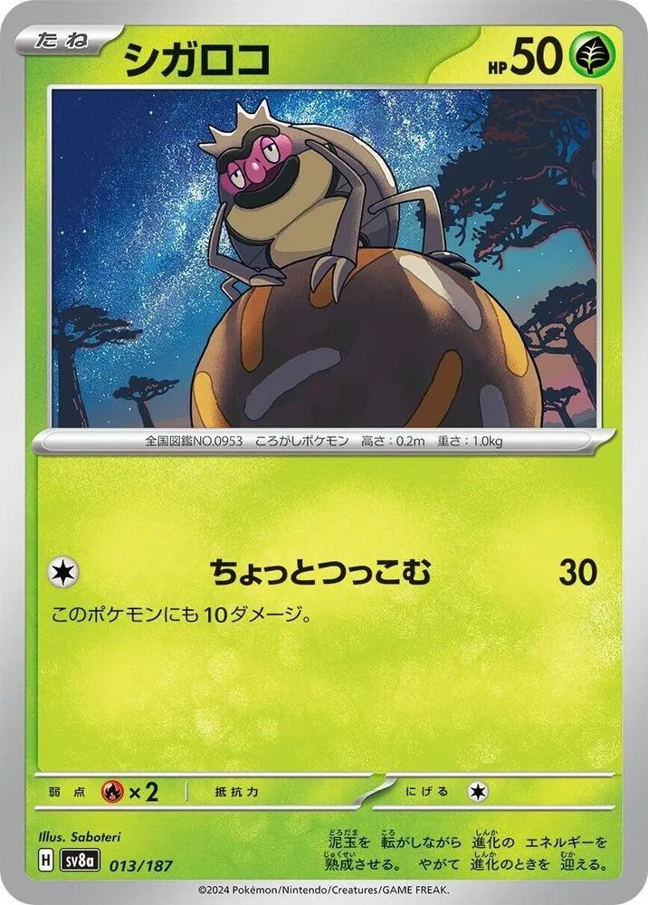 Front of Rellor 13, テラスタルフェスex Japanese