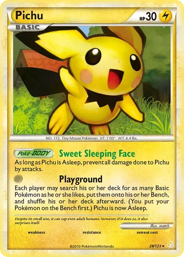 Pichu 28 ¥1,769
