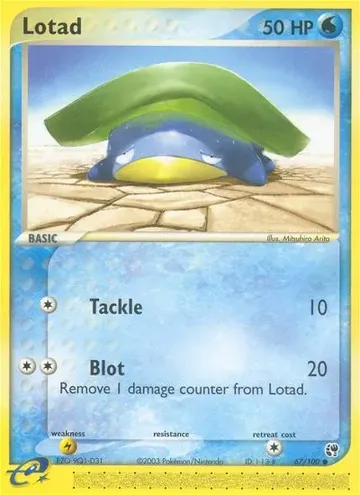 Lotad 67 ¥349
