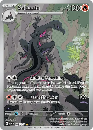 Salazzle 224 ¥368