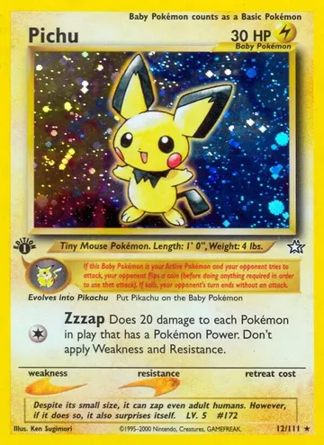 Pichu 12 ¥21,011