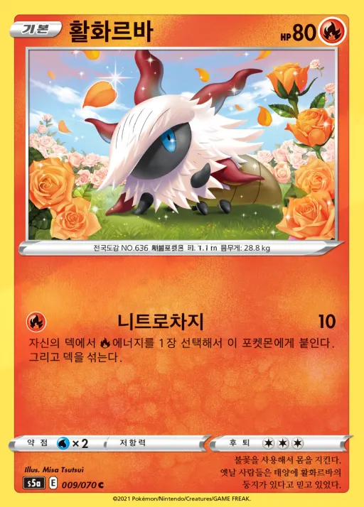Front of 활화르바 9, 쌍벽의 파이터 Korean