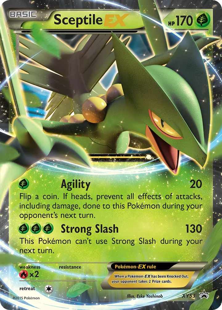 XY Black Star Promos 영어판 Sceptile-EX XY53 카드 앞면
