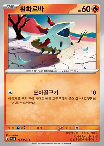 활화르바 18 $0.52
