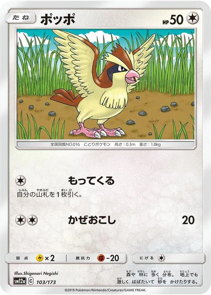 TAG TEAM GX タッグオールスターズ 일본판 ポッポ 103 카드 앞면