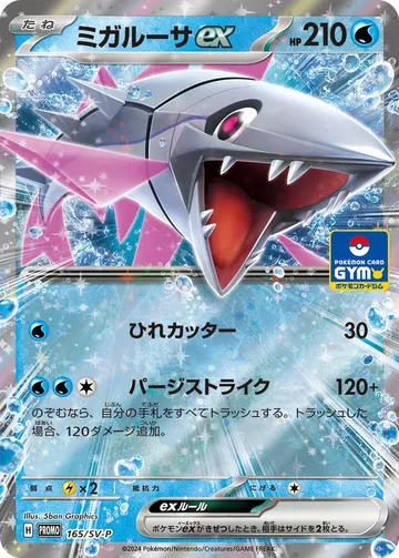 ミガルーサex 165 ₩4,504
