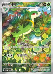 샤비 88