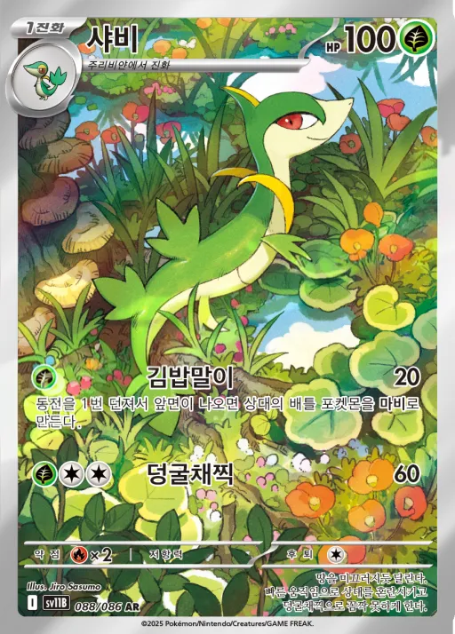 샤비