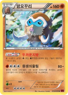 붉은 섬광 한국판 맘모꾸리 39 카드 앞면