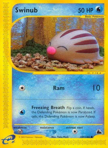 Swinub 107 $87.46