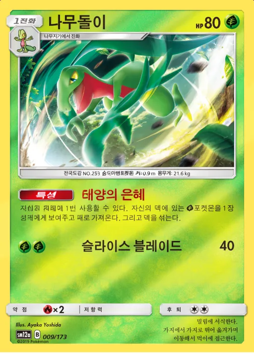 TAG TEAM GX 태그올스타즈 韓国語版 나무돌이 9 カード表面