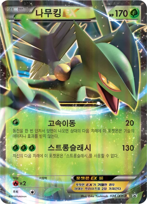 XY 프로모 카드 韓国語版 나무킹 EX 134 カード表面