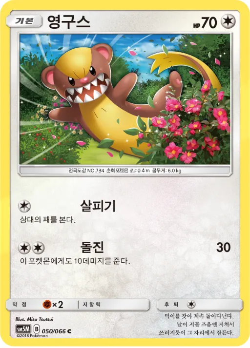 Front of 영구스 50, 울트라문 Korean