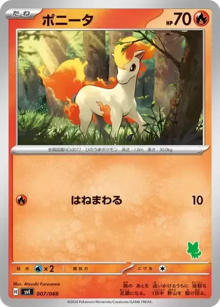 Front of Ponyta 7, バトルアカデミー/いつでもどこでも バトルアカデミー(ニャオハex・ピカチュウex・ルカリオex 他) Japanese