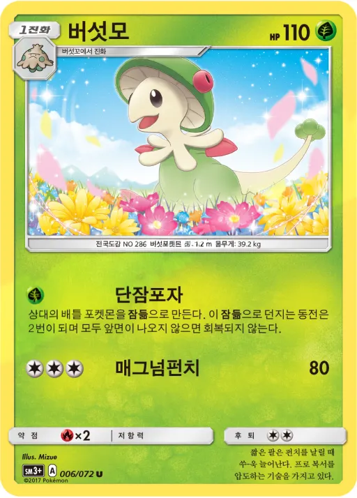 Front of 버섯모 6, 빛나는 전설 Korean