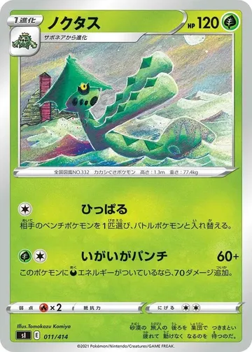 ノクタス 11 ₩6,702