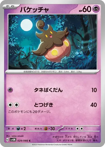 バケッチャ 29 ¥22