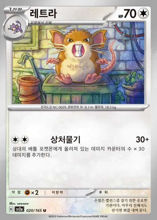 Front of 레트라 20, 포켓몬 카드 151 Korean