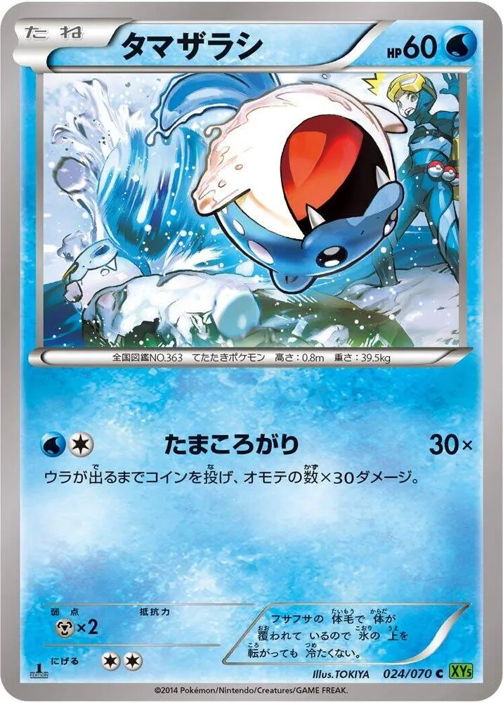 Front of Spheal 24, タイダルストーム Japanese
