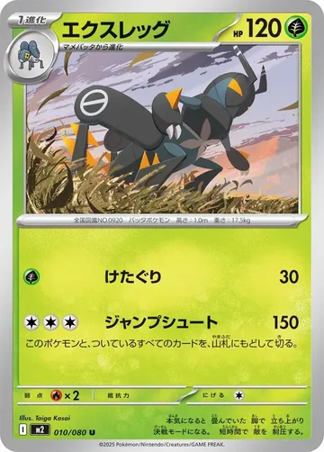 エクスレッグ 10 ¥11