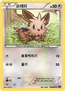 Front of 요테리 49, X컬렉션 Korean
